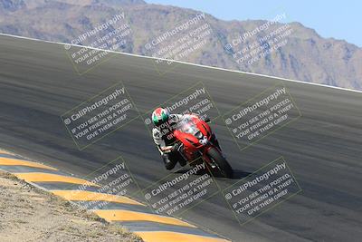 media/May-13-2023-SoCal Trackdays (Sat) [[8a473a8fd1]]/Bowl (840am)/